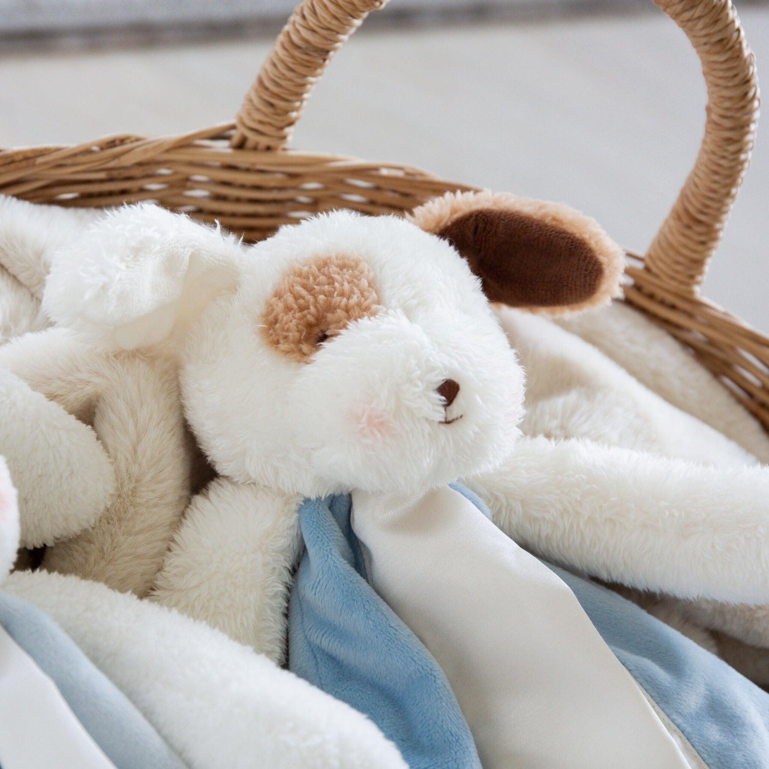 Skipit Puppy Buddy Blanket