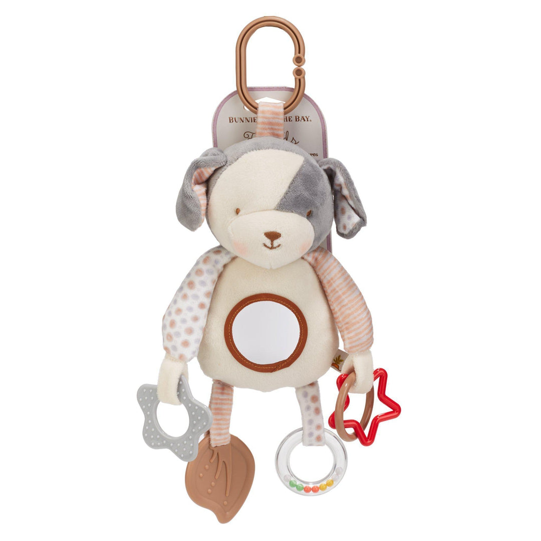 Puppy Developmental Activity Toy
