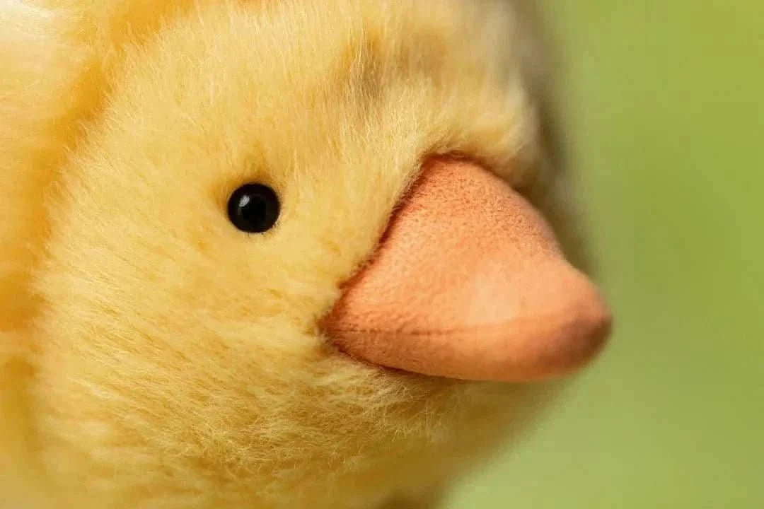 Duckling Plush Toy – 26 cm - Waydiy