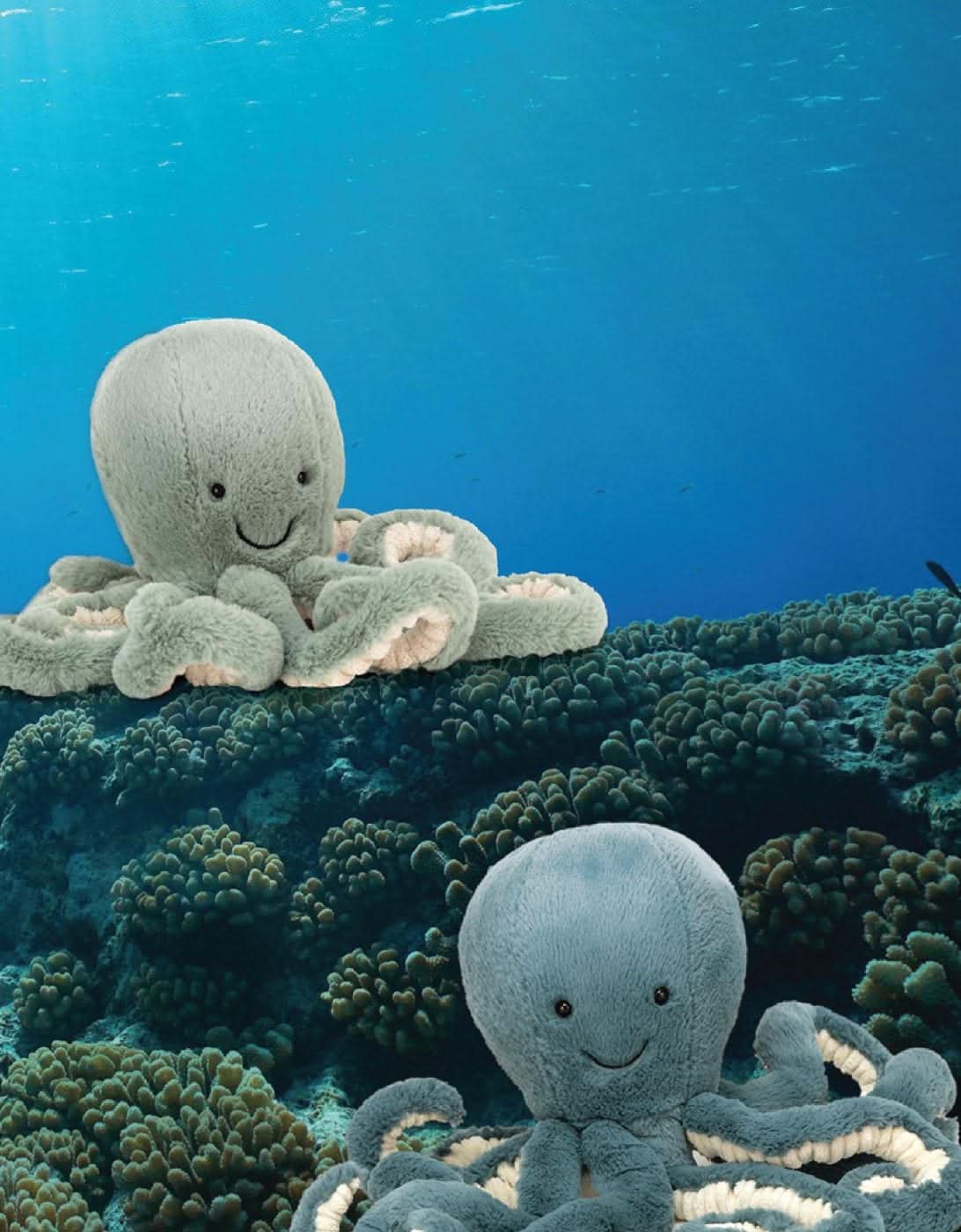 Octopus Plush Toy - Waydiy
