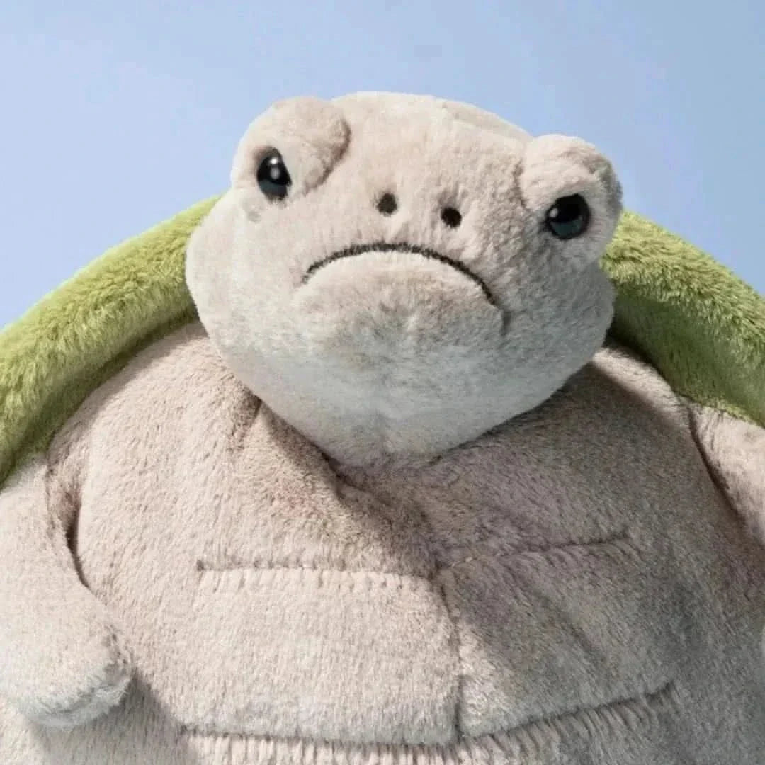 Turtle Plush Toy - Waydiy