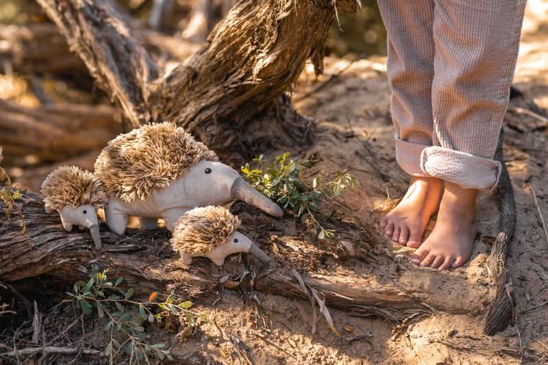 Echidna Plush Toy - Waydiy