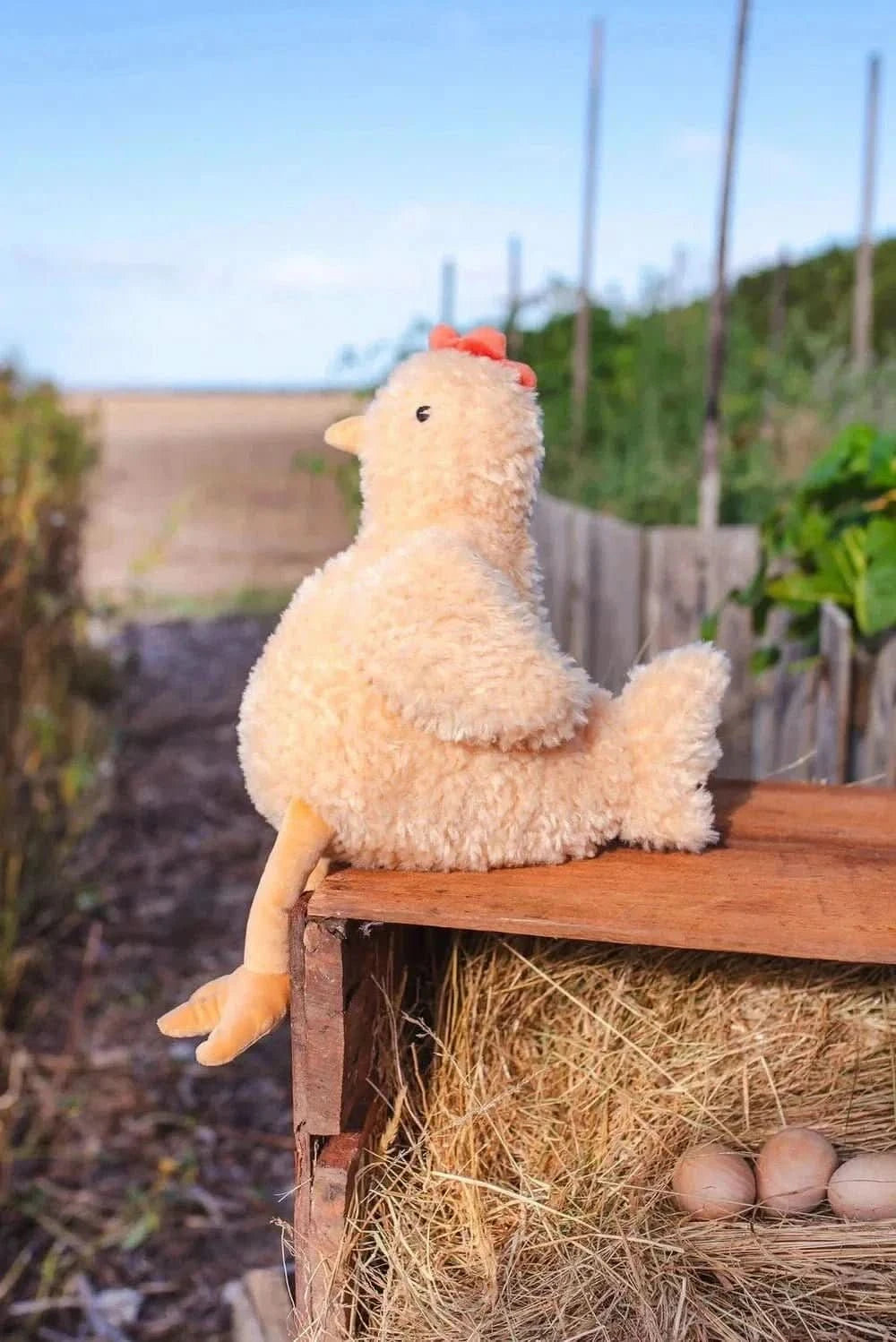 Hen Plush Toy - Waydiy