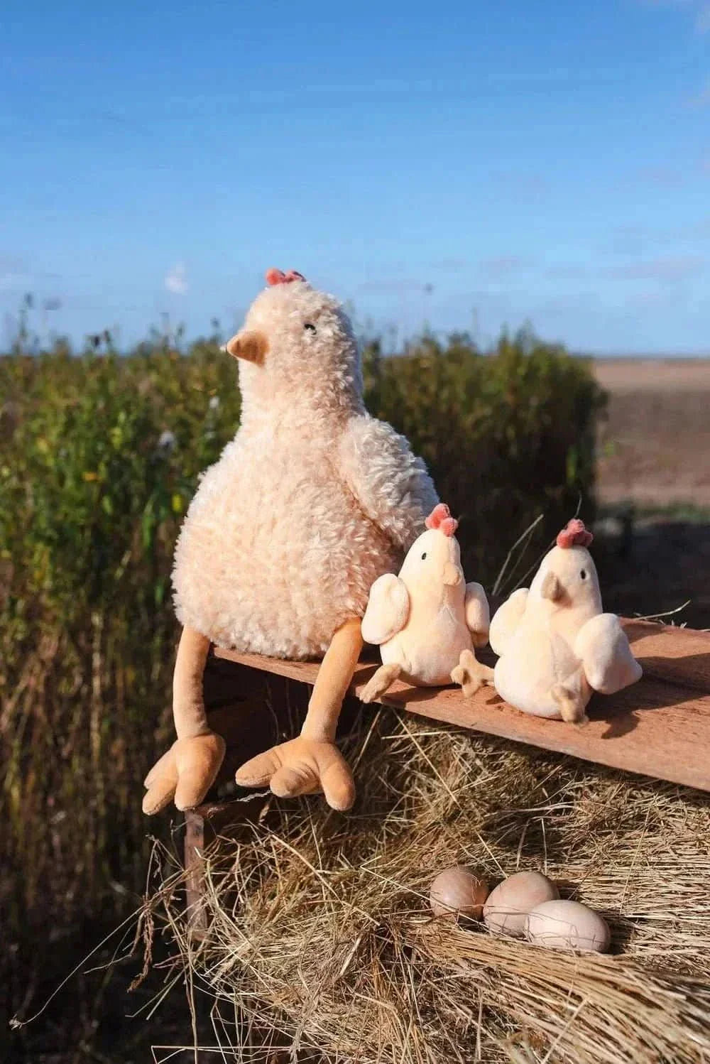 Hen Plush Toy - Waydiy