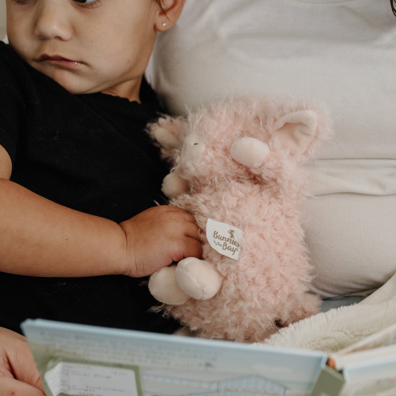 Wee Hammie Plush Toy – 8 Inch Stuffed Pig