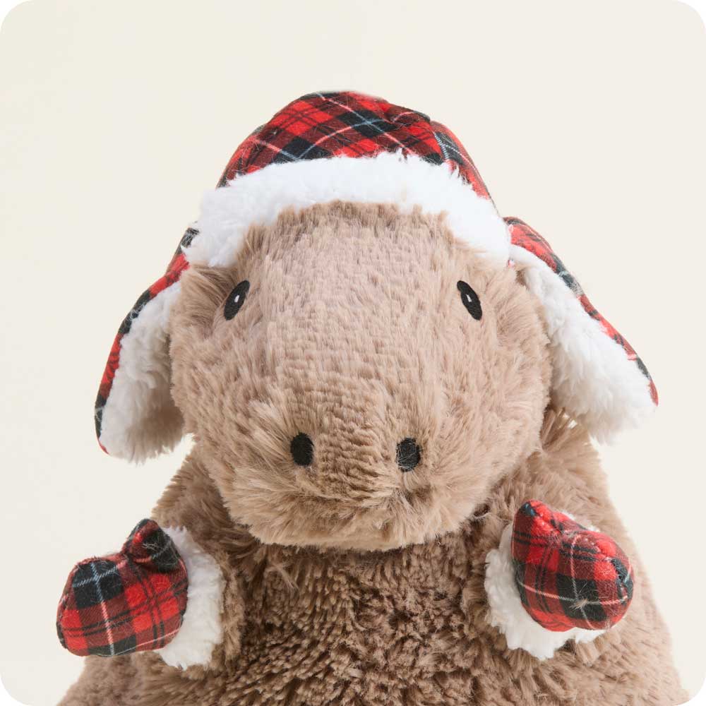 Cozy Capybara Children'S Plush Toys