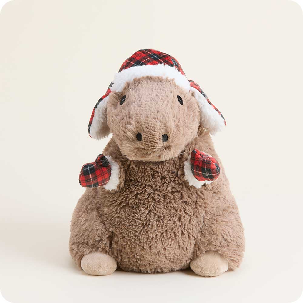 Cozy Capybara Children'S Plush Toys