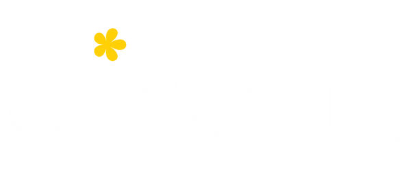 WayDiy