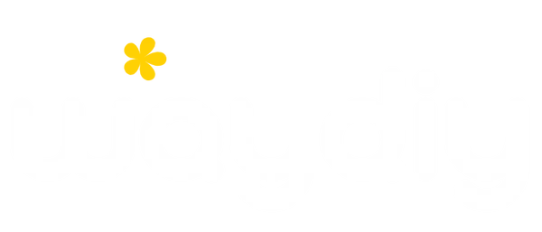 WayDiy