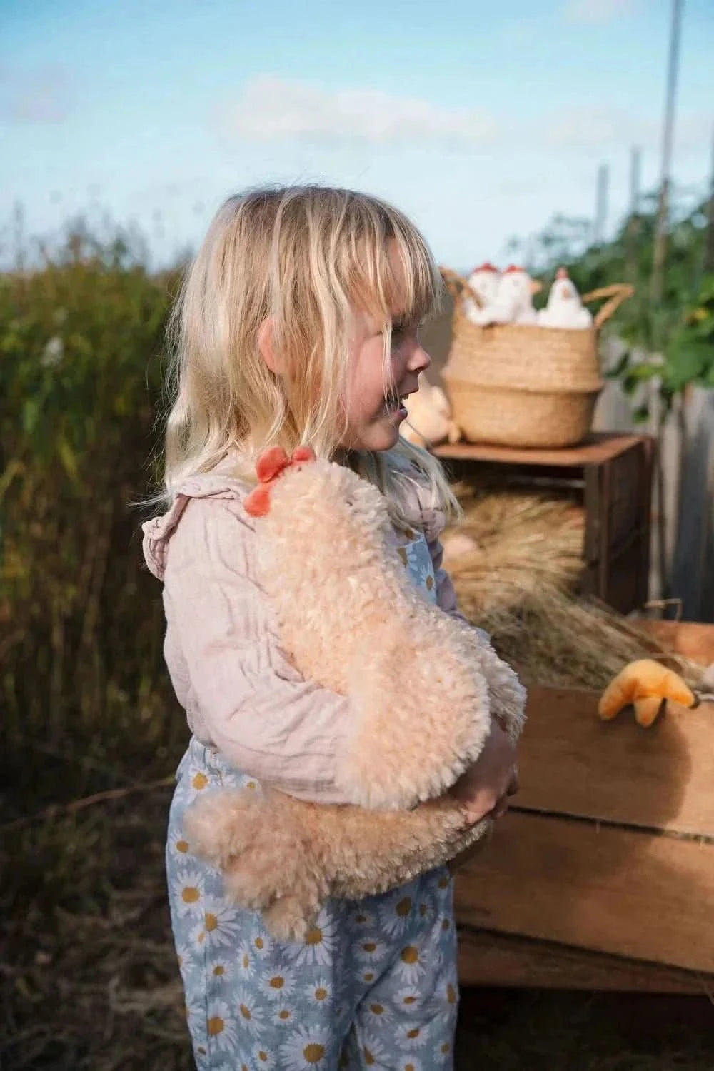 Hen Plush Toy - Waydiy